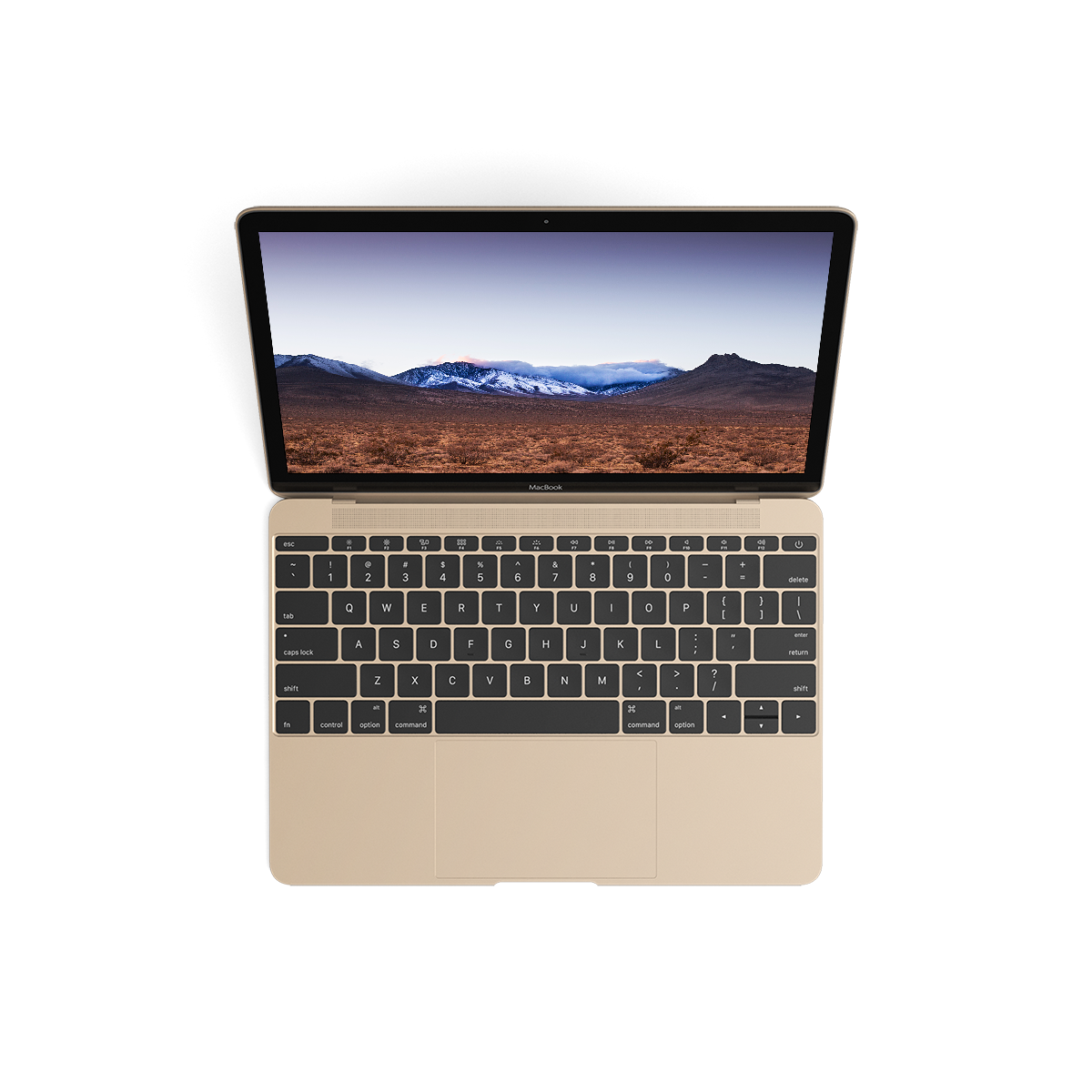 macbook_gold
